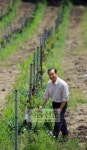 [포토다큐 줌인] Wine, 아는 만큼 맛있다 오감이 즐겁다