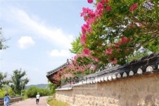 [길을 품은 우리 동네] (15)경북 영양 지훈길·두들마을길