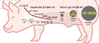 [豚 & 돈 불편한 진실] 삼겹살 ‘10㎏’ 구울 돈이면 ‘110㎏ 3마리’ 산다