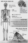 “장준하, 머리 맞아 숨진 뒤 추락”… 약사봉 미스터리, 정국 재점화