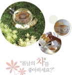 “봄날의 차茶를 좋아하세요?”