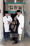 [이종원 선임기자 카메라 산책] 동물원 야생동물병원에 가다