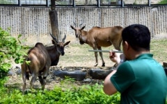 [이종원 선임기자 카메라 산책] 동물원 야생동물병원에 가다