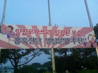 현충일 전날, 욱일기 빼닮은 깃발 내걸고…