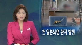 국내 일본뇌염 환자 발생, 생명 위독 “모기 조심” 비상