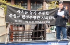 청계광장에 출몰한 사육곰…무슨 일이