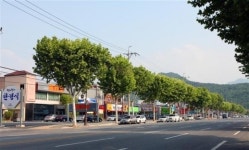 [명인·명물을 찾아서] 대구 먹거리타운 들안길 ‘변신’