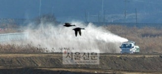 [포토] 경기도 안산시 시화호 주변 방역 작업 ‘분주’