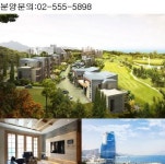 대명리조트 콘도회원권 패밀리 및 스위트 특별 혜택 분양 주목!