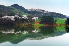 봄이 아름다운 저수지 3선