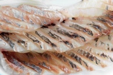 [김준의 바다 맛 기행] (19) 입맛·손맛의 지존 우럭