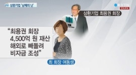 삼환기업 남매의 난…최용권 회장 여동생이 오빠 비자금 조성 혐의로 고소
