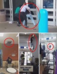 천장 위로 신출귀몰하는 스파이더 도둑, 결국…