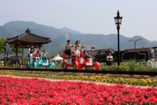 환영해요, 두 바퀴