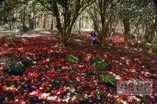 무심코 오르다, 마음이 머물다