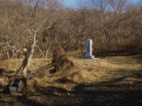 [문화 유랑기] 연산군의 마지막 길 48번 국도 ‘창경궁-신촌-마포-통진-강화-교동’