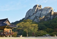 ‘임’ 마중 나선 길… 얼굴이 붉어지다