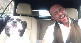 [놀라운영상] ‘개야? 가수야?’ 주인 노래 따라 부르는 견공