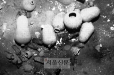 300년 전 침몰한 보물선 발견, 금은보화 싣고 가다가 침몰