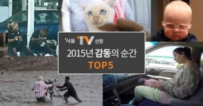 2015년 훈훈한 감동의 순간 TOP5