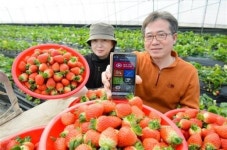 [2016 경제 새 길을 가자 - 지역에서 꽃피는 미래먹거리] <3>세종 스마트시티 조성