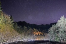 평창 ‘천년의 숲’ 월정사 전나무길
