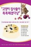 고양이사료등급 만으론 부족해! 늘어난 반려묘만큼 고양이집사들 사료선택기준 높아져