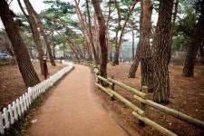 겨울이 시샘할까 봄 마중 가는 길