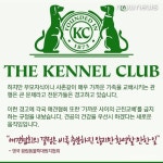 [카드뉴스] 자랑스러운 순종견, 그들의 잊지 말아야 할 과거