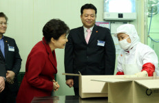 [서울포토] 朴대통령, 부산 수산가공선진화단지 방문