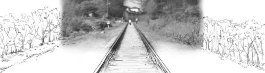 [김동률 교수의 1980’s 청춘의 재발견] <11>백마 화사랑, 녹슨 기차와의 추억