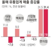 소비 부양에도… 편의점 빼고 매출 뒷걸음
