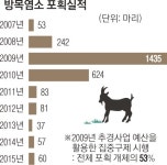 ‘섬 생태계 훼손’ 염소 퇴출 총력