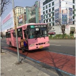 성남시를 달리는 ‘딸기 우윳빛깔’ 핑크색 버스의 사연