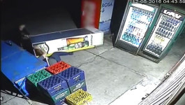 [유머영상]‘나 좀 살려줘~!’ 술 훔치려다 날벼락 맞은 도둑