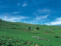 [新국토기행] <75>한강·낙동강 발원지 품은 ‘강원 태백 ’