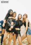 ‘YG 새 걸그룹’ 블랙핑크 ‘시크+러블리’ 겸비한 실력파 그룹 ‘기대’