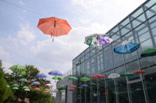 [서울 핫 플레이스] 궁산 소악루에 올라 선비의 지조·절개 정선 예술혼 만나다