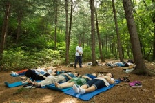 “숲길 걸으니 五感 회복”… 상처받은 도시 영혼들의 ‘힐링 로드’