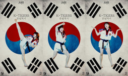 K팝과 태권도가 만나면? K타이거즈 ‘손날치기’ 세로영상