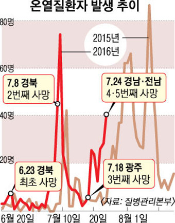 온열환자 지난해 2배… 사망자도 한 달 빨리 발생