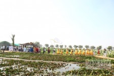 600년 시흥연꽃 만끽하며 전통소리공연까지 “얼씨구”