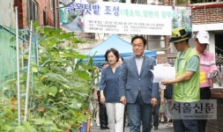 안양5동 ‘우리 동네 어울림 텃밭’ 조성…주민들 간 소통하고 우애가 넘치는 골목길로 변신