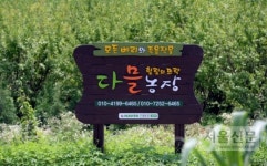 [新전원일기] 암이 선물한 특용작물 세계 실패 속에서 삶을 재배한다