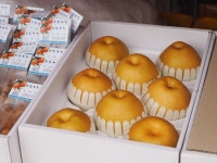 추석 선물세트은 역시 과일·한우·상품권... 5만원대 돗보이는 품목은?