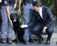 ‘악수 해드리죠’…영웅견 ‘레오’ 당당한 모습