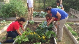 농사가 범죄를 막는다…美 주민 참여 농장 화제