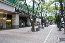 [건축가 황두진의 무지개떡 건축을 찾아서] 혁신의 초고층 거물 열린 듯 막힌 폐쇄성 앞에 도시와 소통은 잊었다