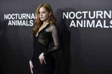 [포토] 은은하게 비치는 망사 드레스… 섹시하게 혹은 우아하게