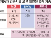 닛산·BMW·포르쉐도 인증서류 오류